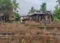 ဓာတ်ပုံ - Lung Lung La N