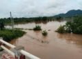 ဓာတ်ပုံ - နေမျိုး