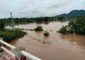 ဓာတ်ပုံ - နေမျိုး