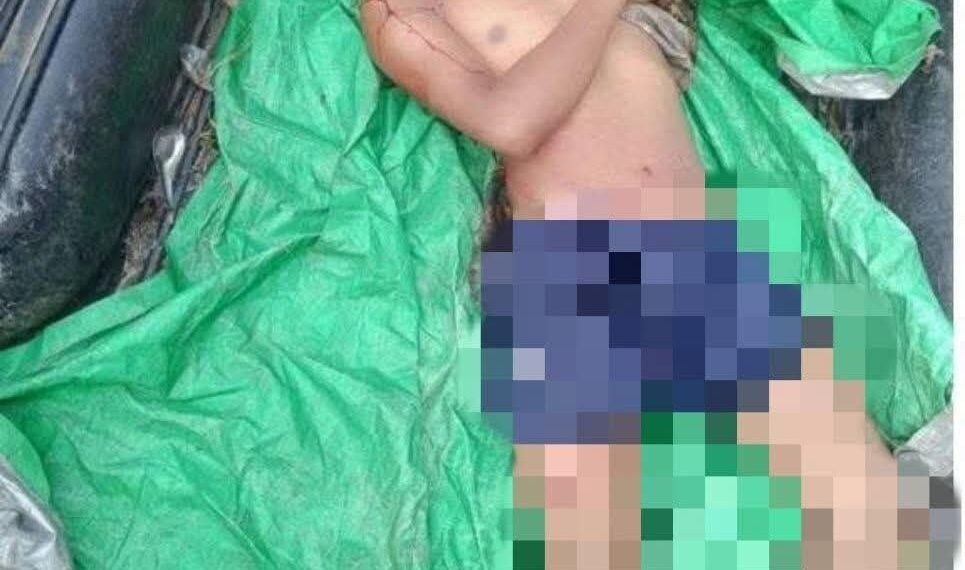 ​ဓာတ်ပုံ - ဂန့်ဂေါခရိုင်စစ်ဌာန