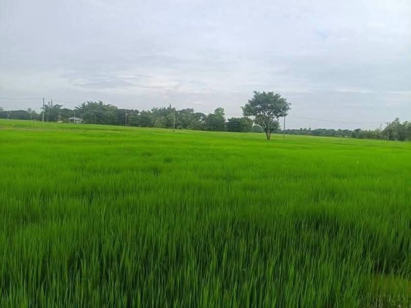 ဓာတ်ပုံ - တိုင်းဒေသကြီးအစိုးရအဖွဲ့