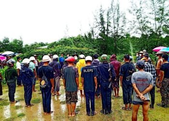 ဓာတ်ပုံ - APM