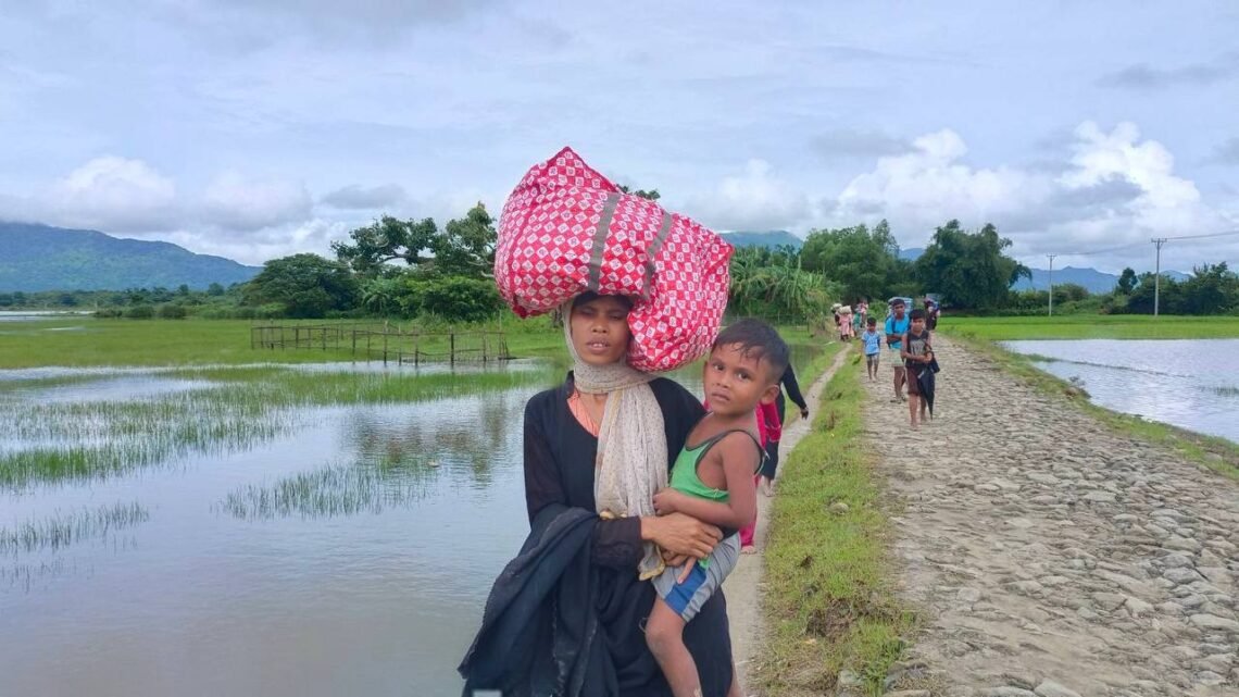 ဓာတ်ပုံ - BNA