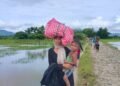 ဓာတ်ပုံ - BNA