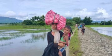 ဓာတ်ပုံ - BNA