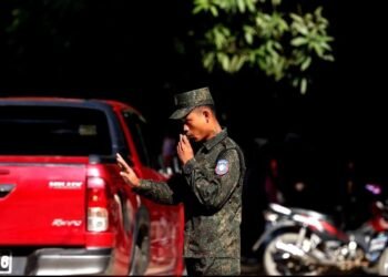 ဓာတ်ပုံ - APM