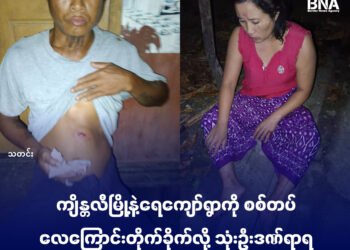 ဓာတ်ပုံ-BNA