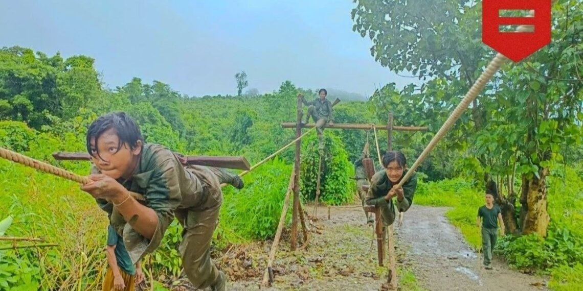 ဓာတ်ပုံ - PLF