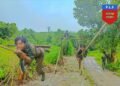 ဓာတ်ပုံ - PLF