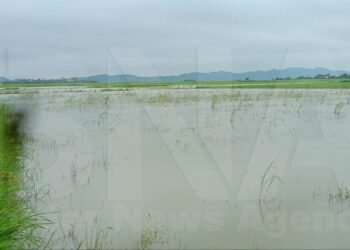 ​ဓာတ်ပုံ - BNA