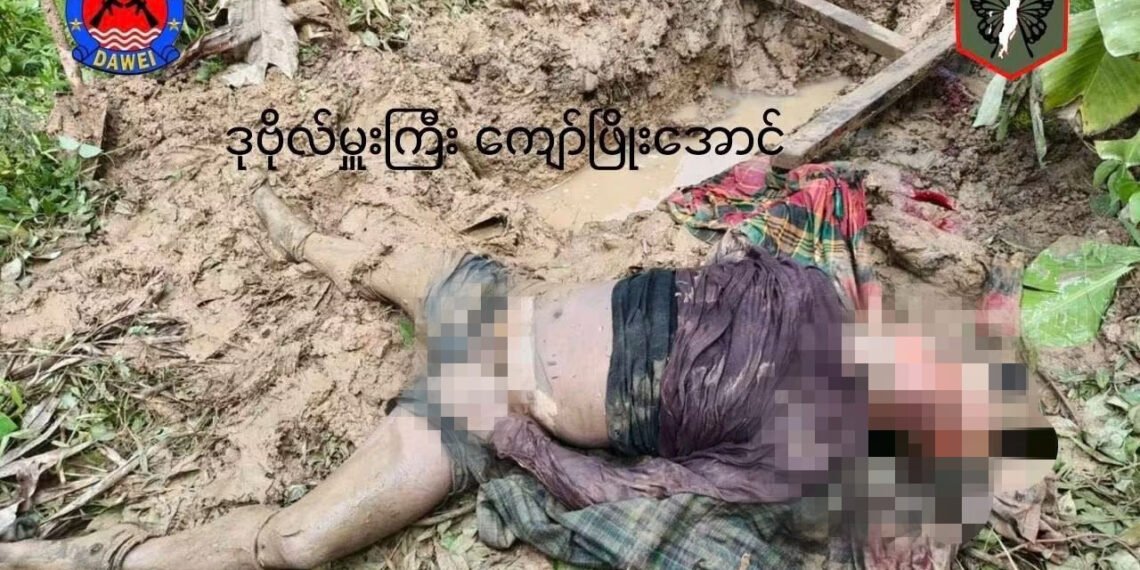 ဓာတ်ပုံ - SBF