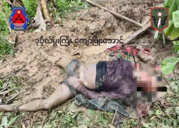 ဓာတ်ပုံ - SBF