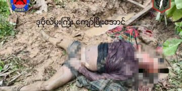 ဓာတ်ပုံ - SBF