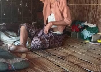 ဓာတ်ပုံ - ရမ္မဝတီ ဇာမဏိ ပရဟိတအသင်း