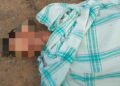 ဓာတ်ပုံ - ကောလင်းမြို့နယ် ပအဖ