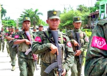 ဓာတ်ပုံ - APM