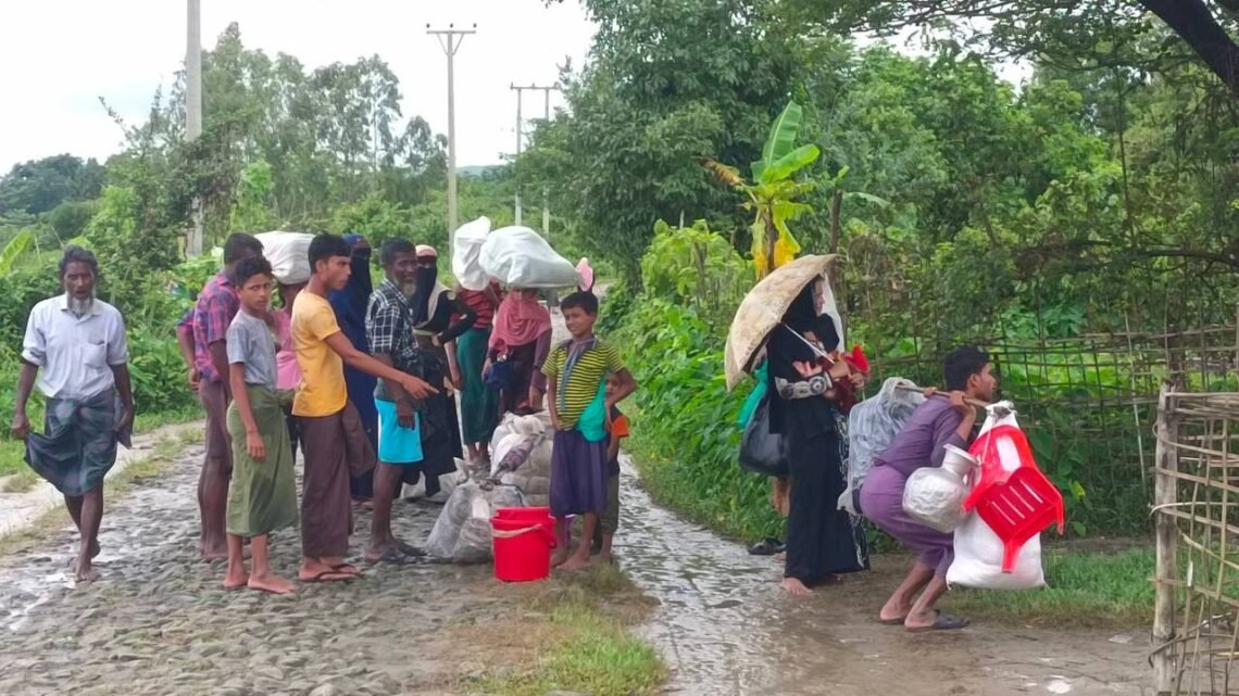 ဓာတ်ပုံ - BNA
