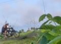 ဓာတ်ပုံ - တောင်တွင်းကြီးမြို့နယ် ပကဖ - ပုဏ္ဏဝတီတပ်ဖွဲ့
