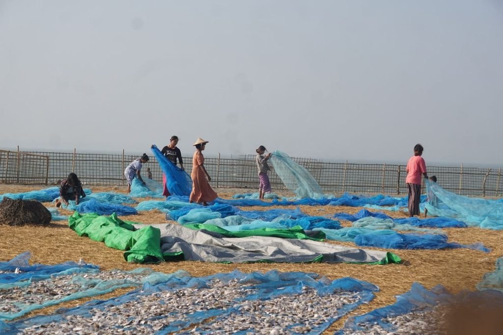 (ဓာတ်ပုံ-အာရက္ခဒေသမှာ ငါးခြောက်နေလှန်းနေပုံ/BNA)