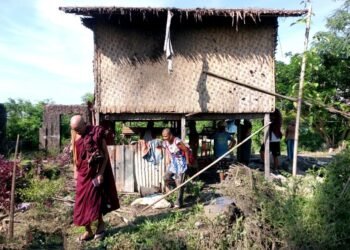ဓာတ်ပုံ - APM