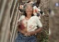 ​ဓာတ်ပုံ - KNU