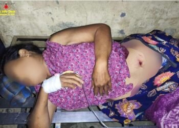 ဓာတ်ပုံ - AA