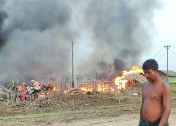 ဓာတ်ပုံ - BNA