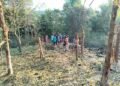 ဓာတ်ပုံ - BNA