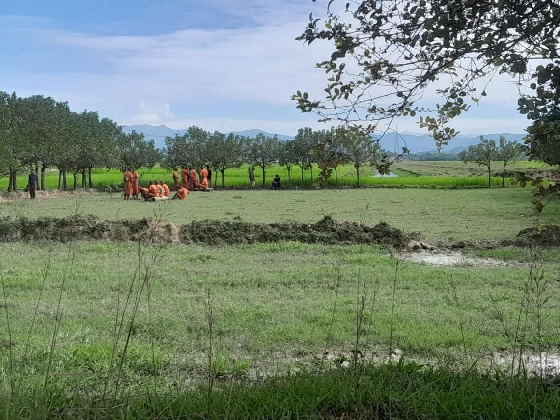 (ဓာတ်ပုံ-မြောက်ဦးမြို့နယ်၊ပေါင်းတုတ်ကျေးရွာအနီးမြေကို အောက်တိုဘာလ ၁၇ ရက်နေ့၊မနက် ၉ နာရီကျော်အချိန်က စစ်သုံ့ပန်းများဖြင့်အကွက်ရိုက်နေပုံ/BNA)