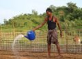 ဓာတ်ပုံ - BNA