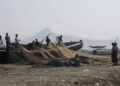 ​ဓာတ်ပုံ - BNA